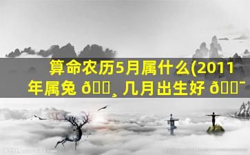 算命农历5月属什么(2011年属兔 🕸 几月出生好 🐯 )